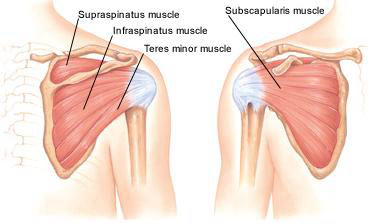 Rotator Cuff Tear